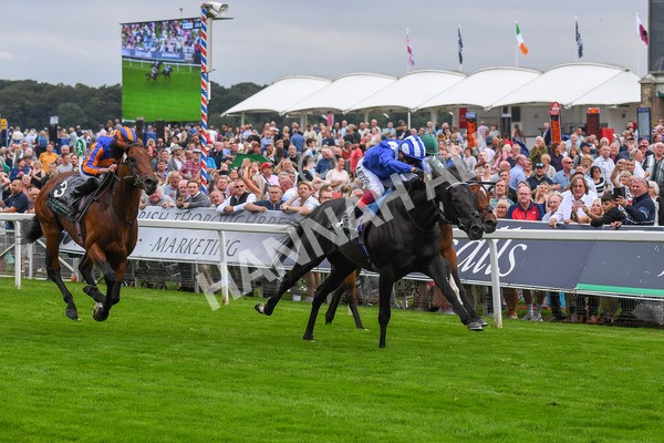 230823-Race 4-Mostahdaf-0590 - Race 4 3.35pm Juddmonte International Stakes