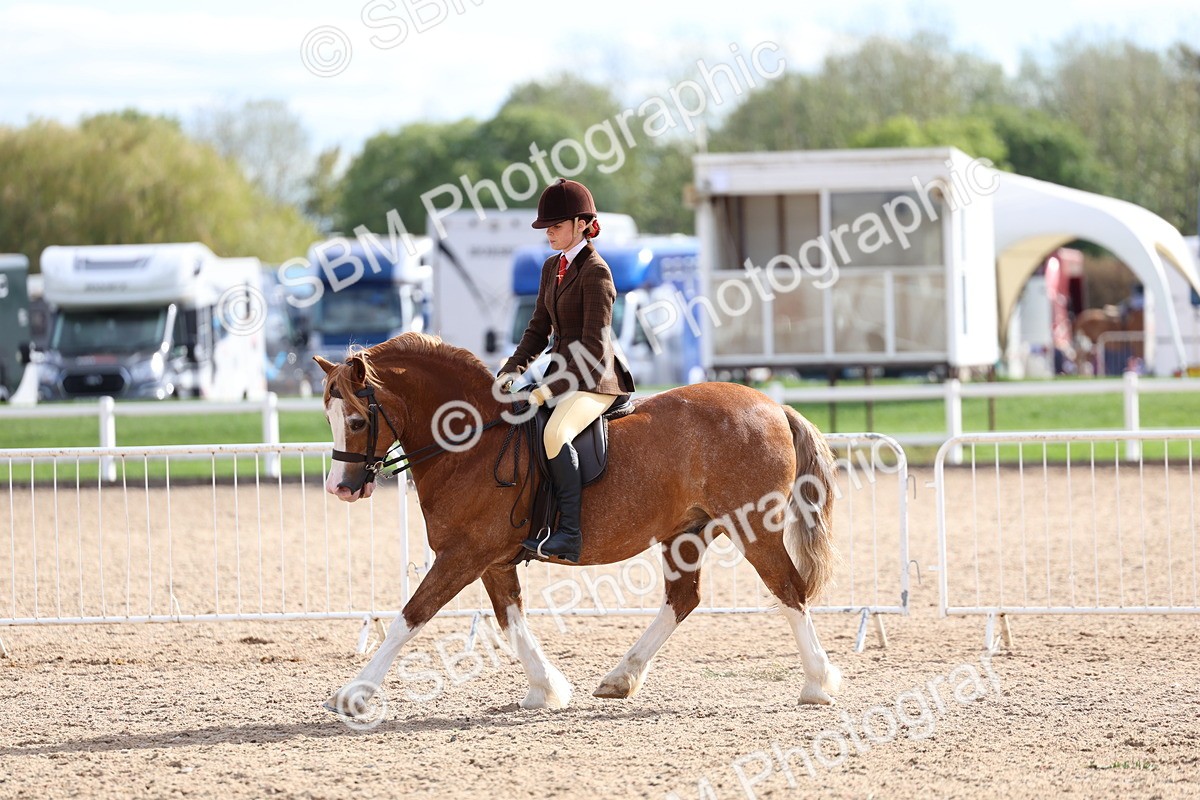 SBM_17584 - Class 316 - Best Pony - Rider Combination
