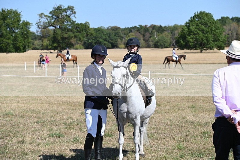 WJ6_8141 - Class 36 Lead Rein