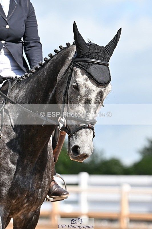 240622A-101439-07530 - Cls 2A+2B+C Intro B RoR