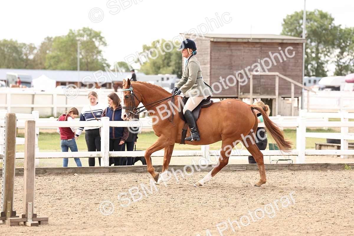 SBM_04260 - Class 54 - Riding Club Horse/Pony
