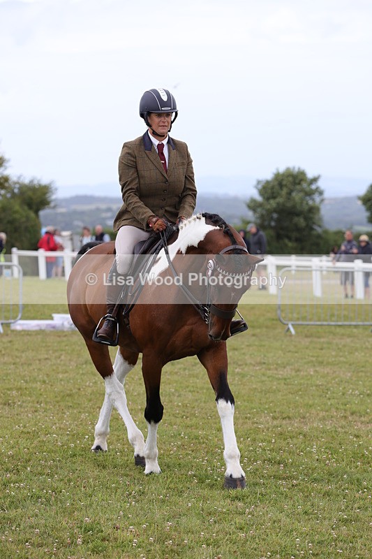 1X9A4474 - Class 34: Veteran Ridden