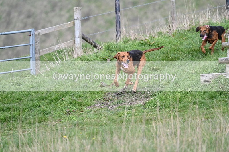 WJ7_8030 - Line 2 A camera