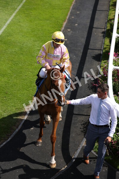 yr09072022r3-1 - Race 3 2.55pm John Smith's Stayers Stakes