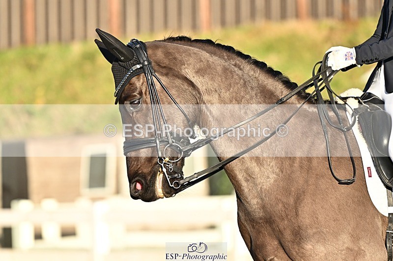 241214-143058-02865 - 139-Holly.Kerslake-Platinum.Cabachon