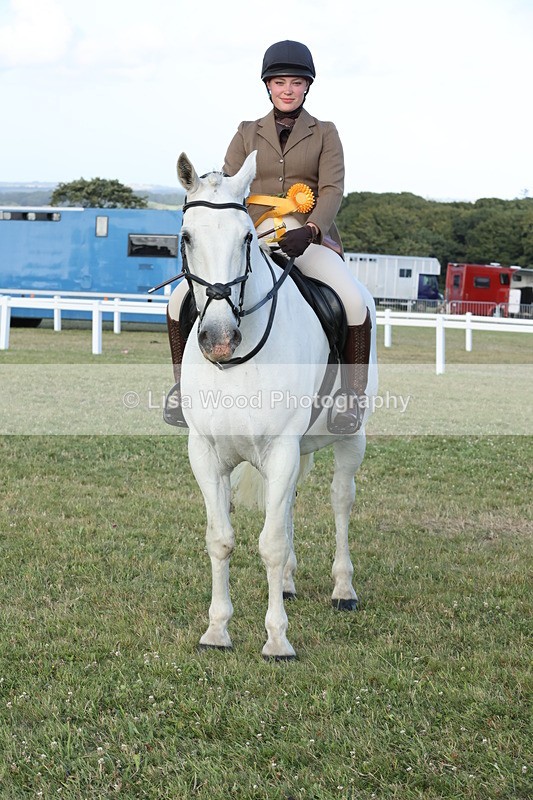 JPP_3715 - Class 24: Open Working Hunter