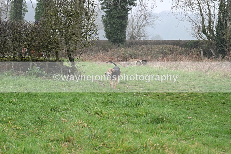 WJ7_0309 - Line 2 cam A