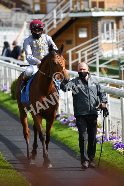 yr13052021r6-23 - Race 6 4.15pm Constant Security EBFstallions.com Maiden Stakes
