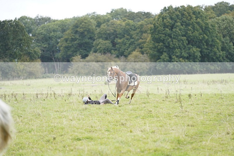 _DSC7906 - Time at Photographer 11:57 to 12:36