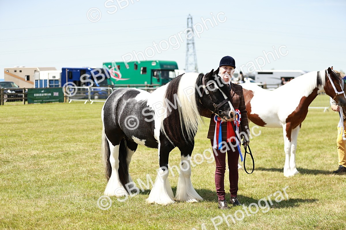 SBM_05520 - Class 41-45 - Riding Pony-Hunter Pony Breeding