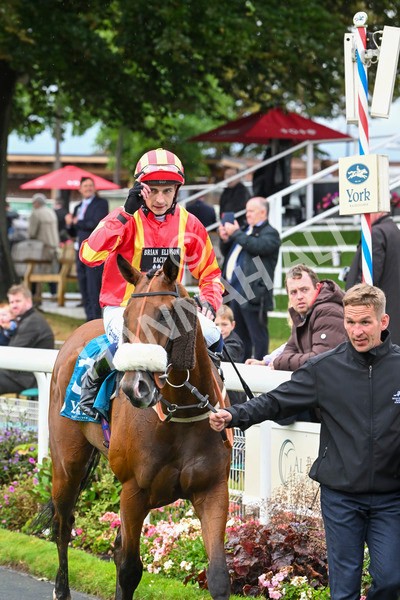 080924-Race 6-Northern Spirit-9529 - Race 6 4.35pm Hanson Springs Handicap