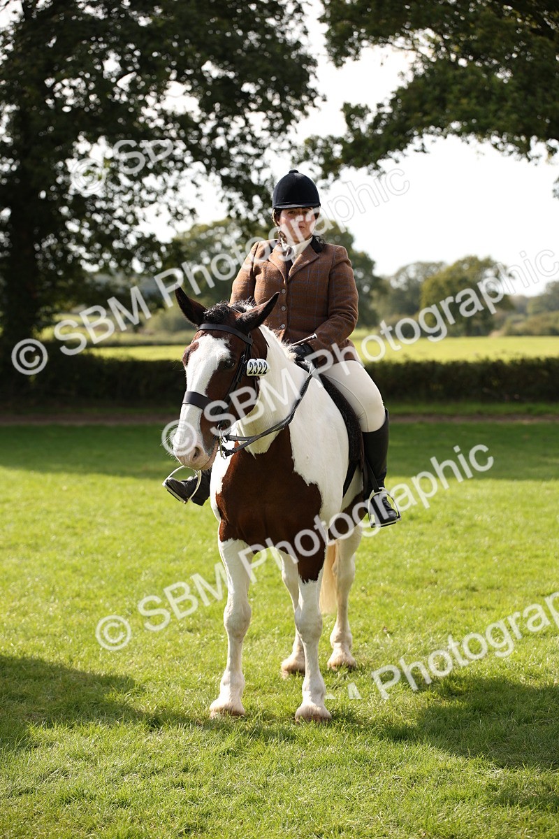 SBM_70154 - S65 - Piebald & Skewbald Horse Ridden