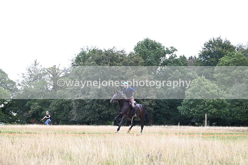 DSC_6493 - Time at Statue 12:17 to 12:44