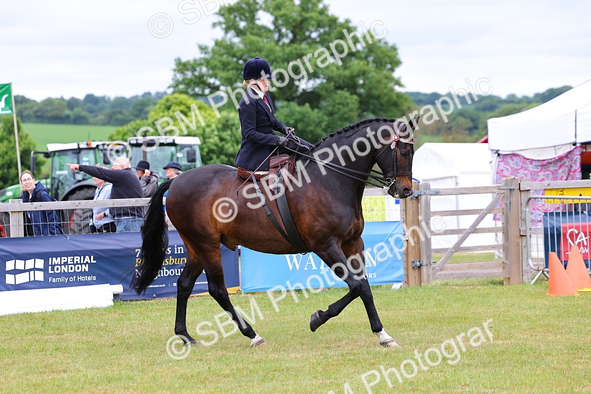 SBM_02902 - Class 9-11 Side Saddle including LIHS Rising Star Ladies Show Horse