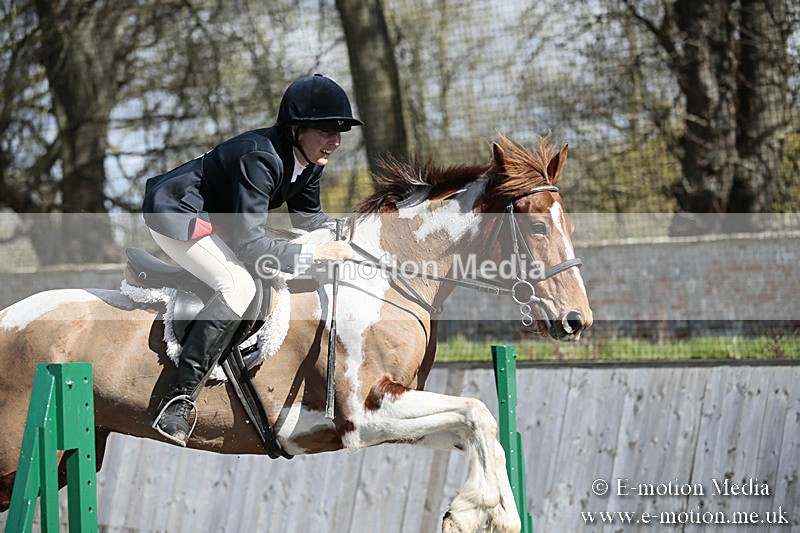 BVRC SJ 170319 381 - Bourne Valley Riding Club Showjumping 17/03/19