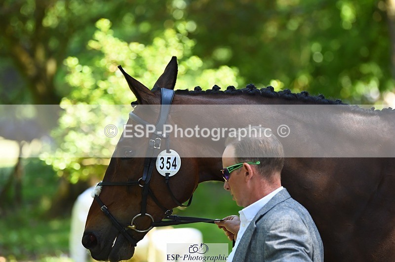 230524-151152-00124 - 354-TREWORDER-Michael_Owen-WEDTrotUp+DR