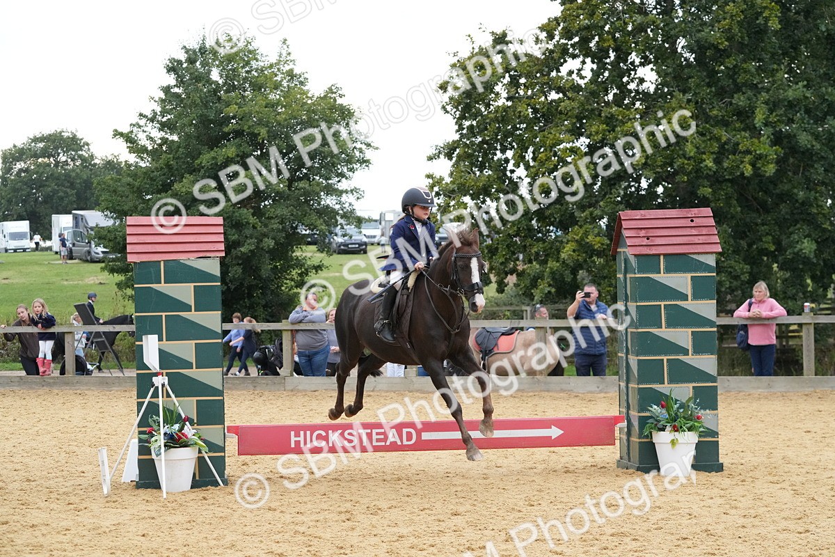 SBM_74541 - J4 - Mini Tour Junior Pony 45cm Championship