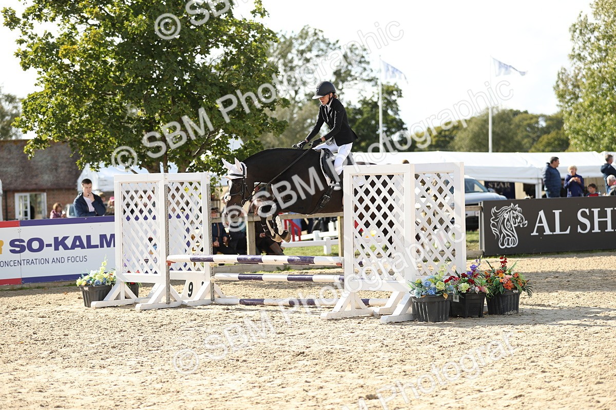 SBM_49554 - J22 - Junior Horse 65cm Championship