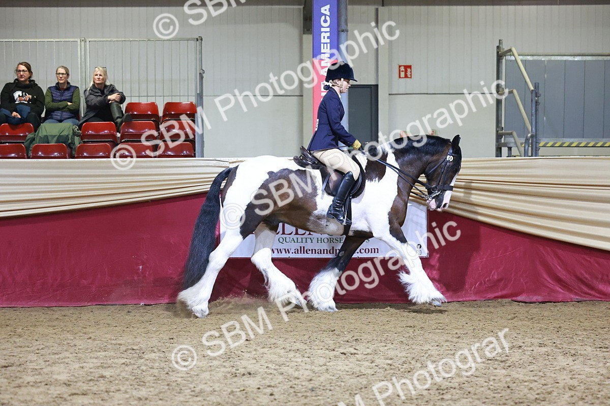 SBM_21151 - class Q - Ridden Horse Champ