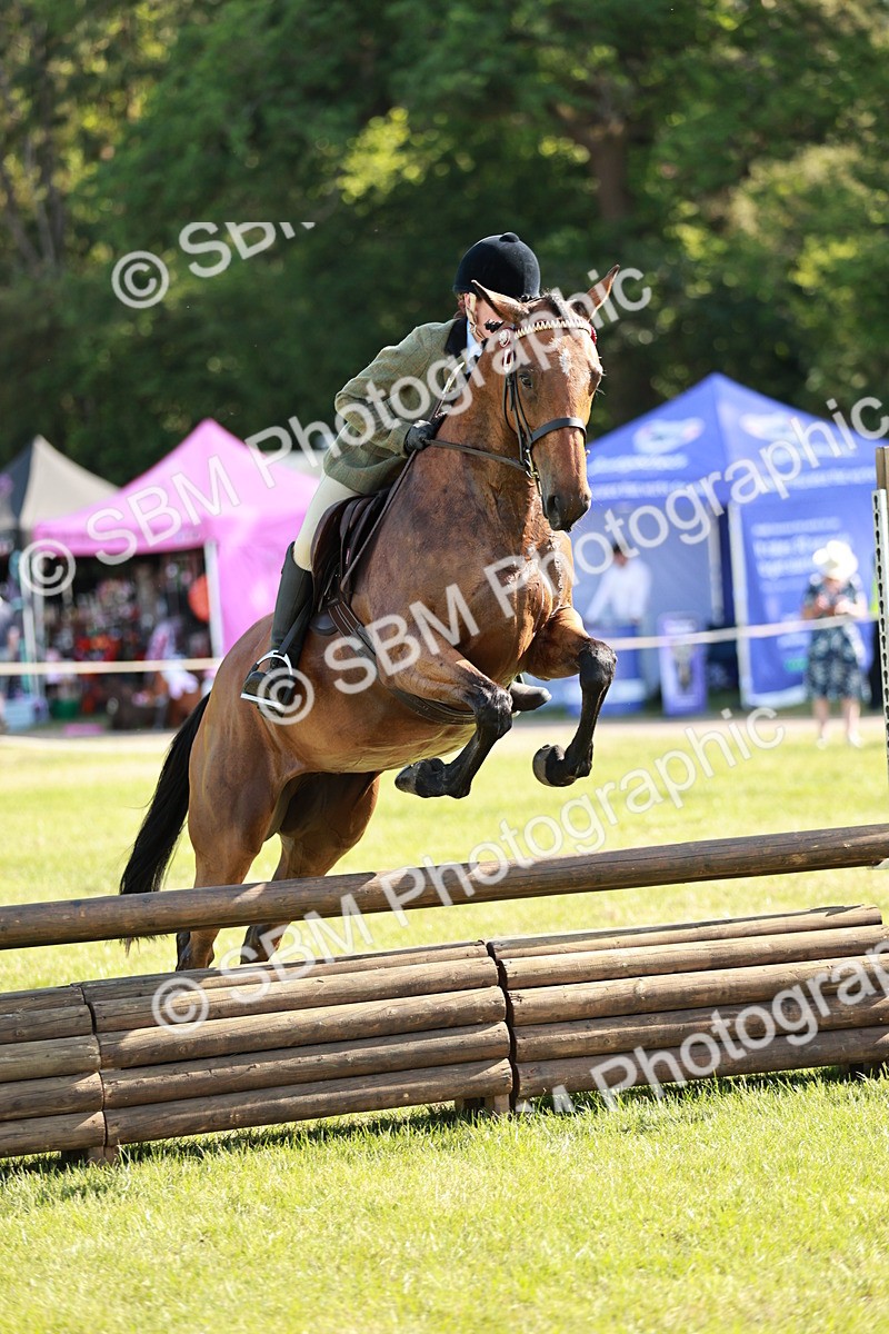 SBM_19146 - Class 115-116 - LIHS BSHA Rising Star Working Hunter & Show Horse