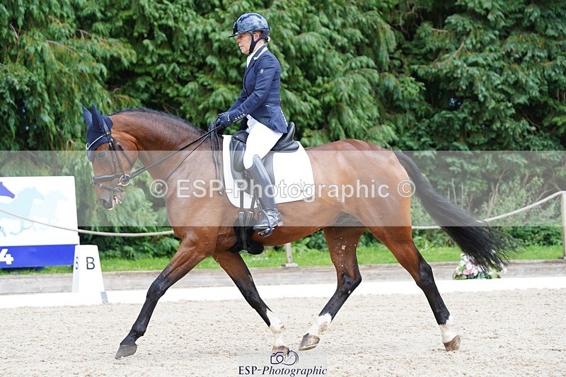 240721-151608-10039 - 195-Dawn_Bear-First_Taylor_Made