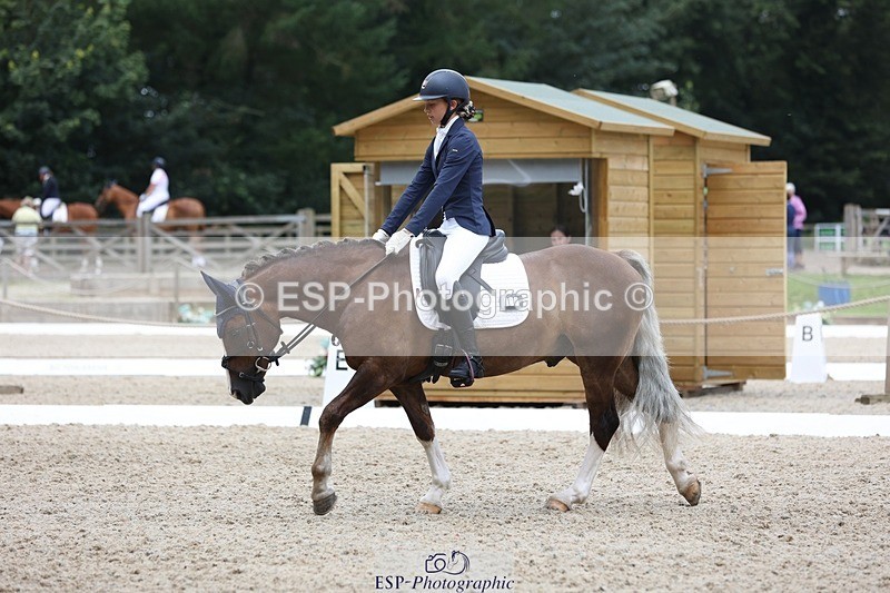 230812-120148-03910 - Cls 5 Novice Bronze 11.15 to 12.50 break