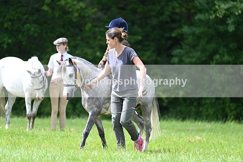 WJ7_1601 - Class 11 Condition & Turnout