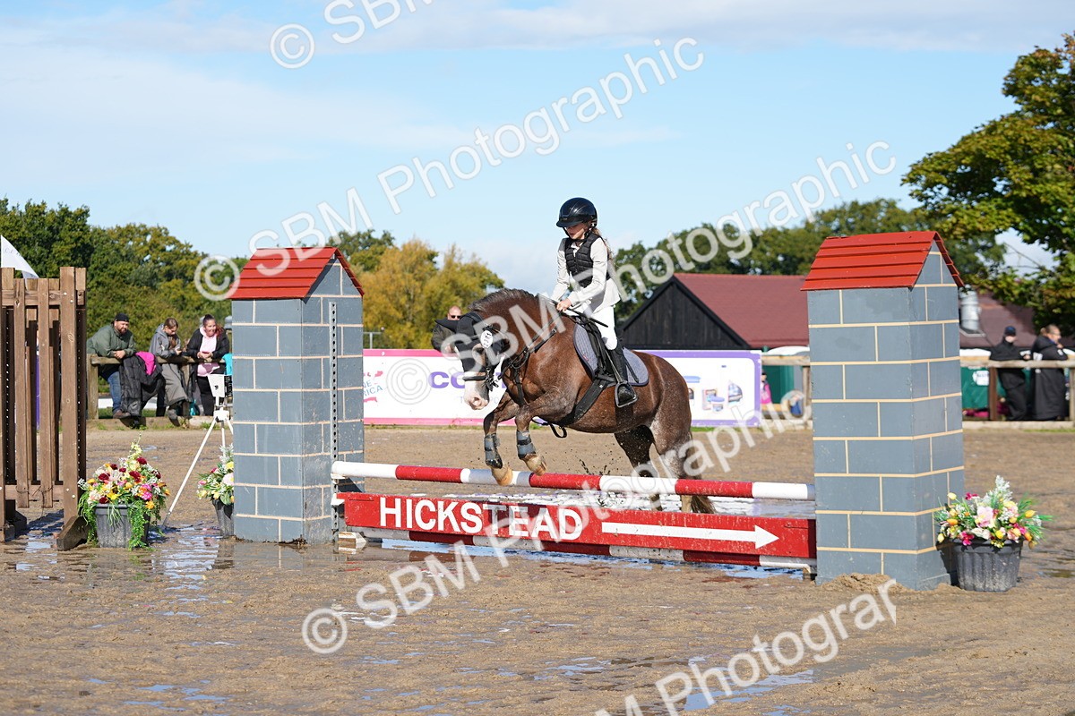 SBM_38278 - J6 - Junior Pony 55cm Championship