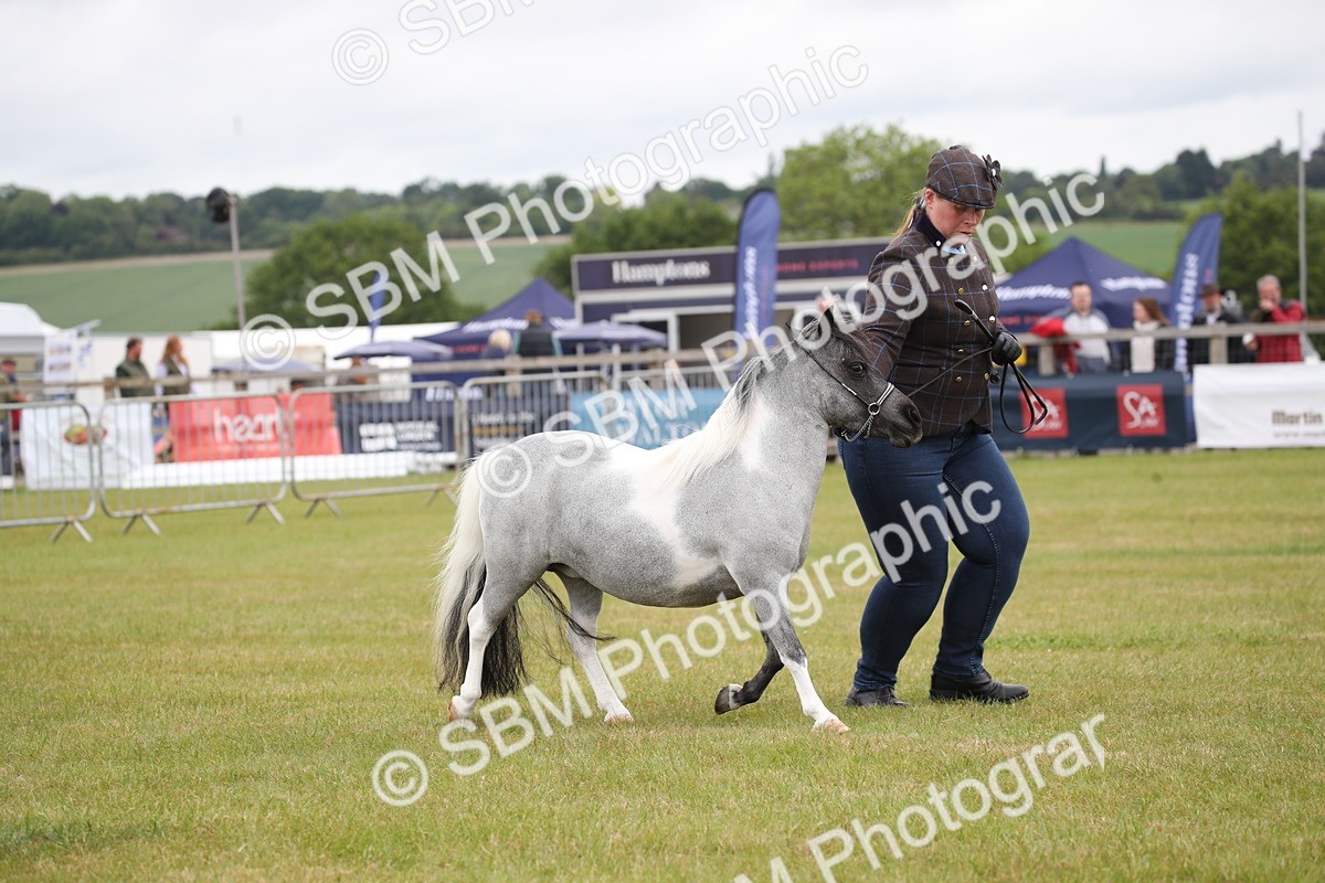 SBM_03967 - Class 23-25 - British Miniature Horse of the Year