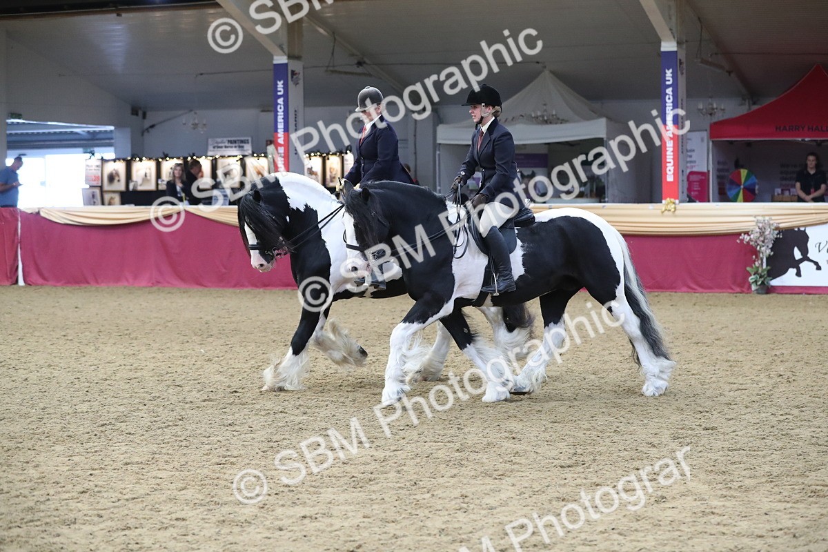 SBM_13676 - Class 109 Ridden Pairs - Section B