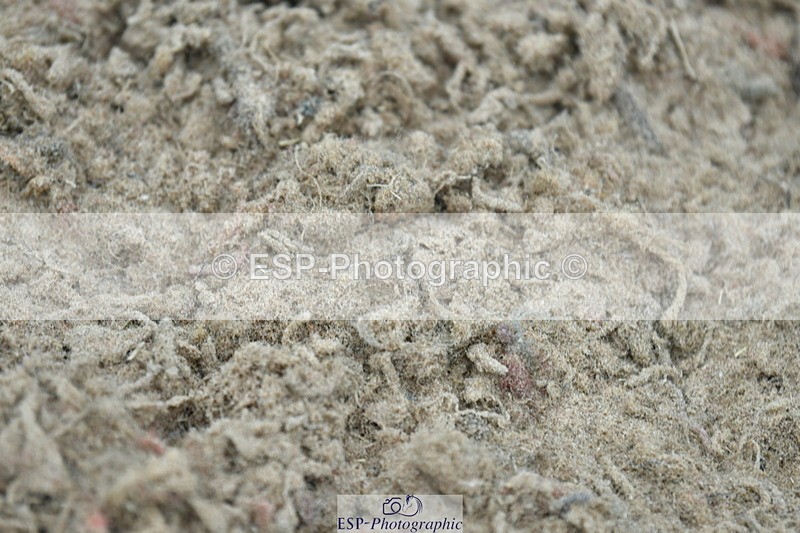 230504A-142302-02024 - Cls 5 1.05m Amateur Quali