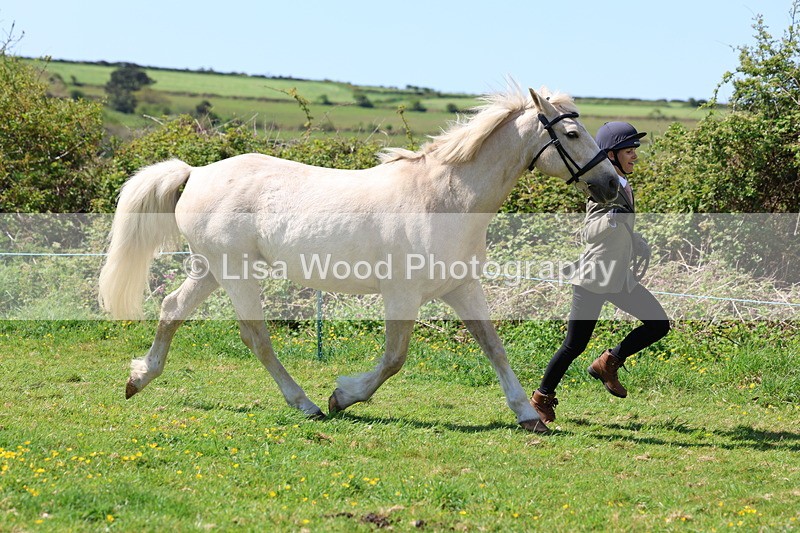 3E7A0235 - Class 19: Best Coloured in Hand