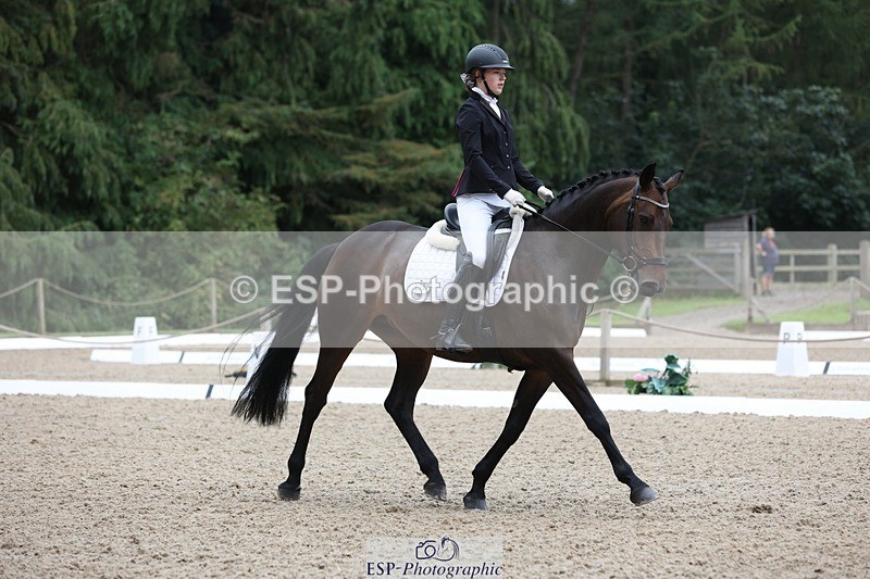 230812-094420-03004 - Cls 5 Novice Bronze Start to 10.55 break