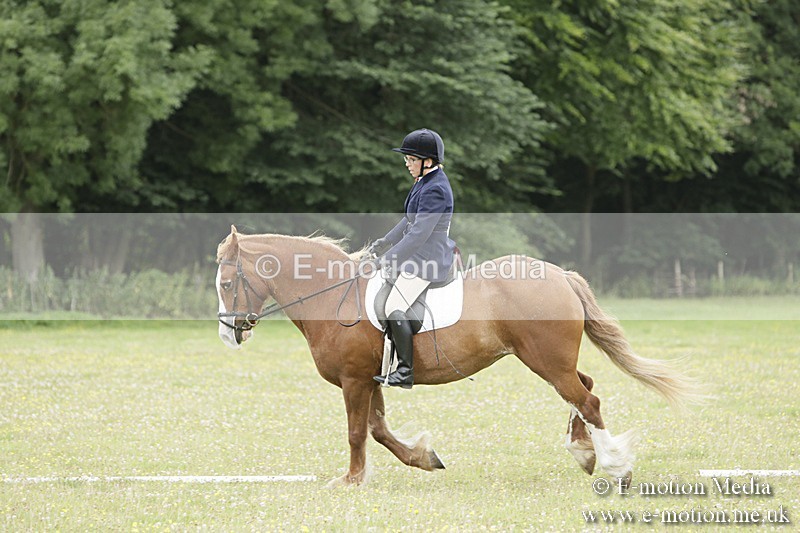BVR160717-1228 - Class 2 Dressage 16/07/17