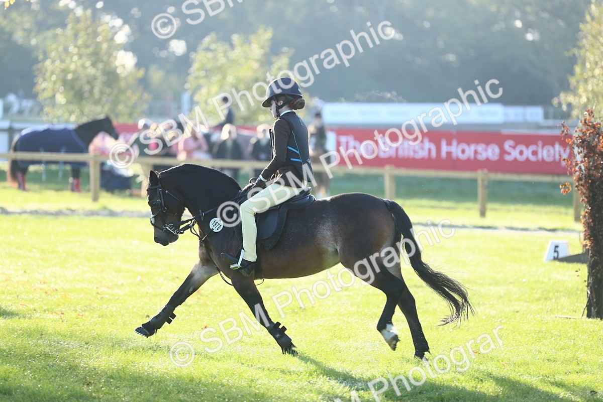 SBM_37308 - S29 - Novice & Newcomers Working Hunter Pony