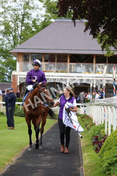 yr22052022r2-23 - Race 2: 4:00pm Sky Bet Sunday Series EBF Novice Stakes
