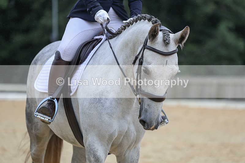 3E7A6111 - Class 3: Prelim 4 2024 - Section A