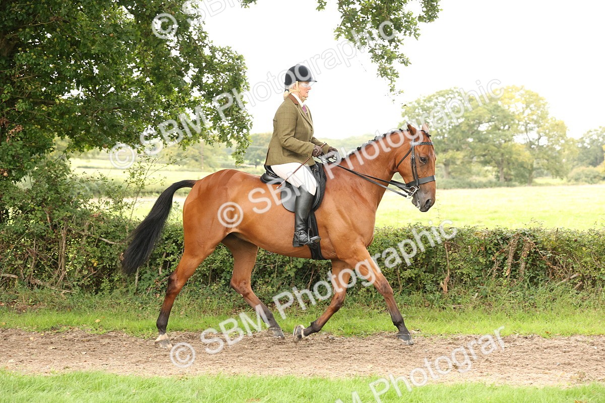SBM_66281 - S66 - Hunter Ridden