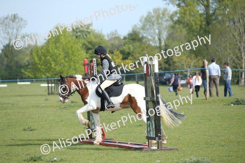 20260426-0187 - Class 13 - Rookie Jumping 50cm