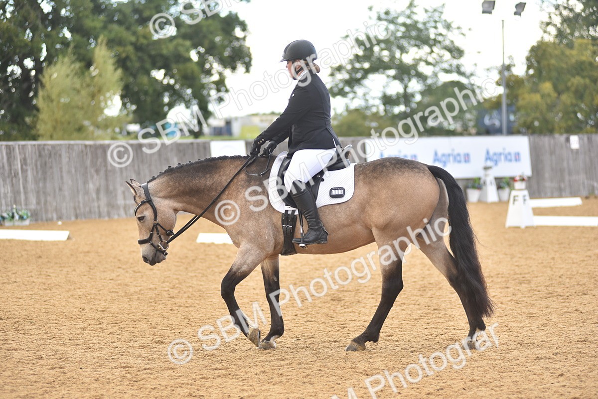 SBM_11353 - D15 - Small Tour Championship Novice 1