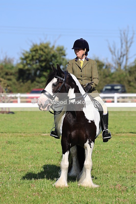 IMG_1545 - Class 30: Ridden Native/Trad Coloured Pony