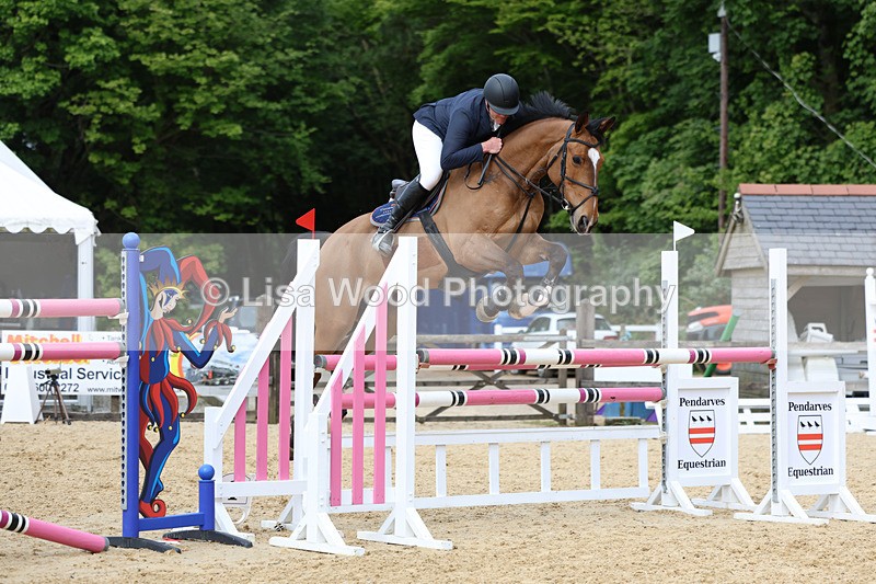 3E7A7638 - Class 8: Senior Foxhunter/1.20 open