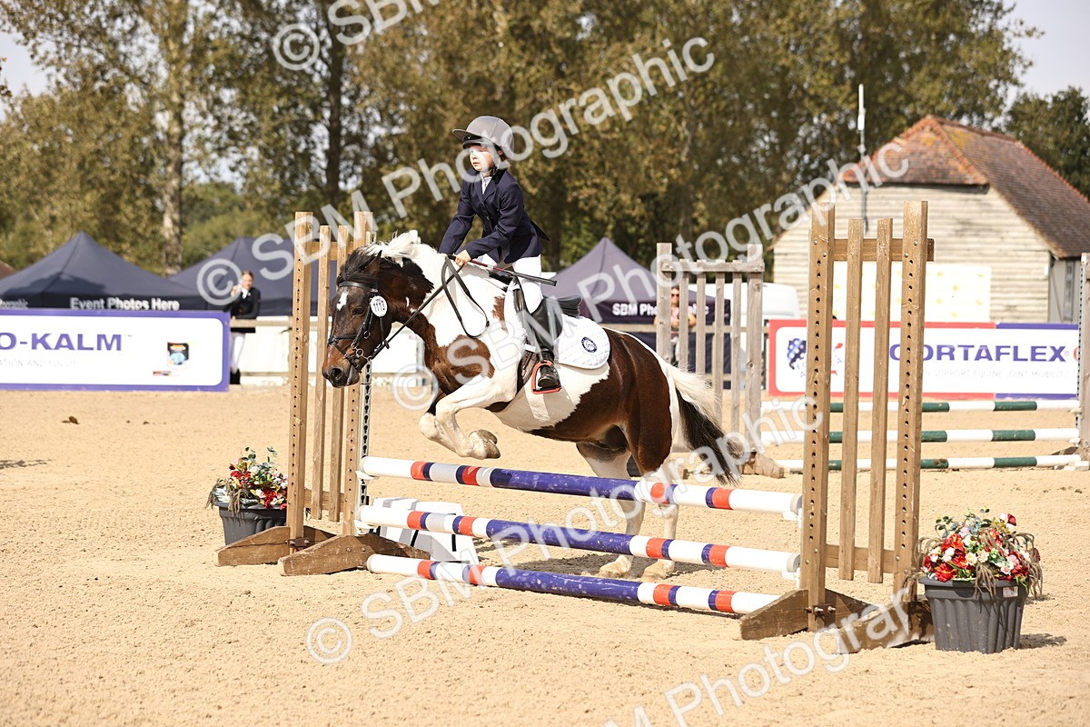 SBM_66916 - J13 - Junior Pony 60cm Championship