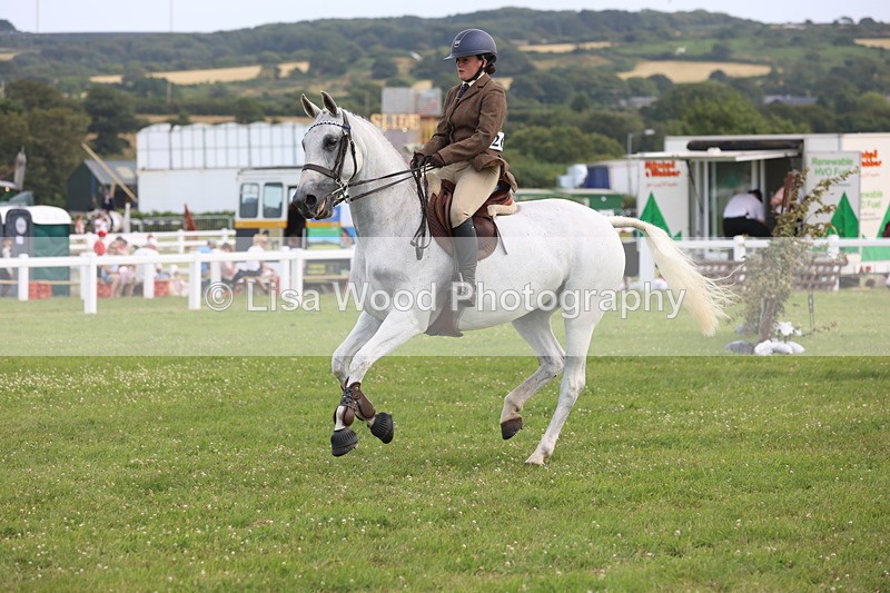 JPP_4152 - Class 25: Working Show Horse