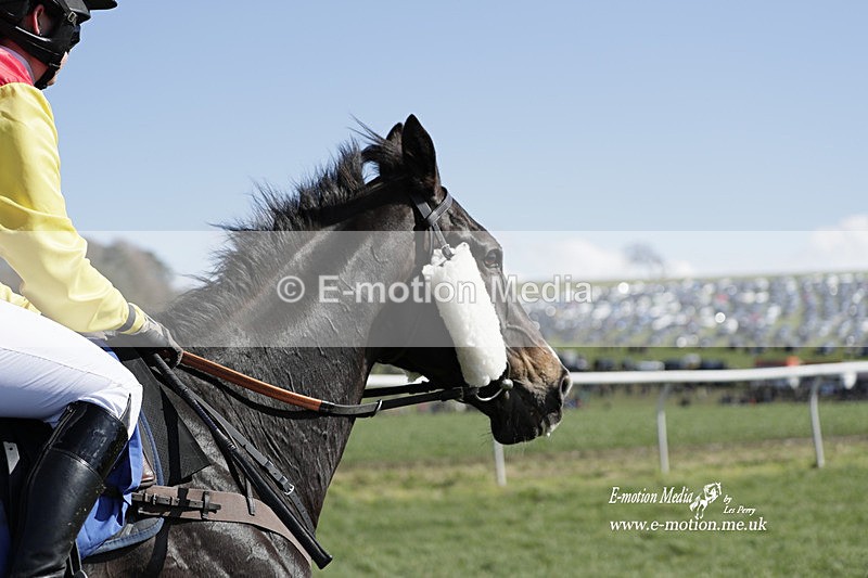 PtP 100423 670 - Old Berkshire Point-to-Point Lockinge 10/04/23