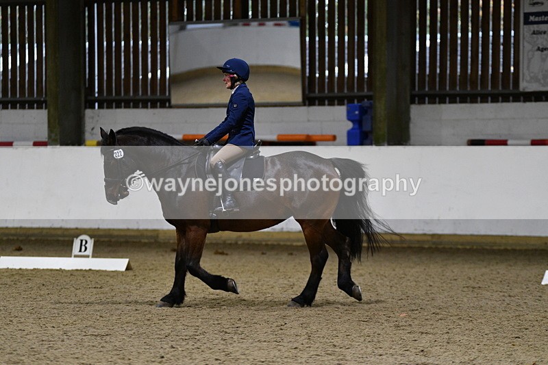 WJ5_8504 - Class 5 Novice Test 3