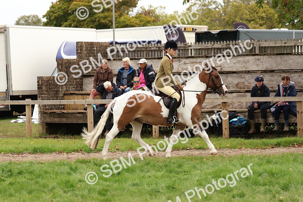SBM_64440 - S58 - Coloured Pony Ridden