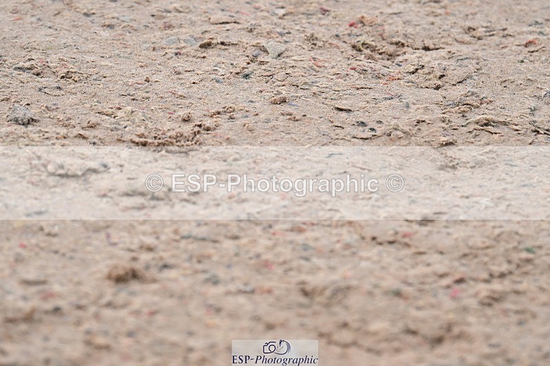 250424-090854-03462 - Cls 13 - 1 Star Bronze Tour