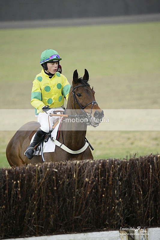PtP 200222 276 - Countryside Alliance PtP Badbury Rings 20/02/22