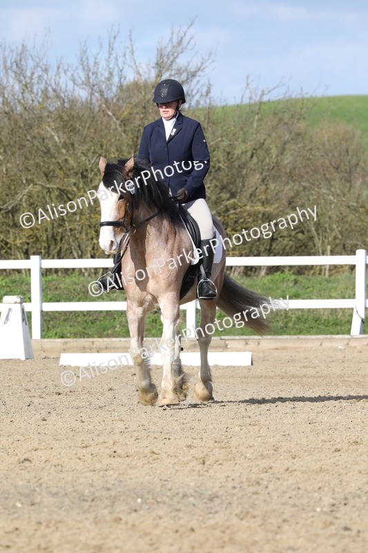 20260314-4992 - CT6 - Elementary 1